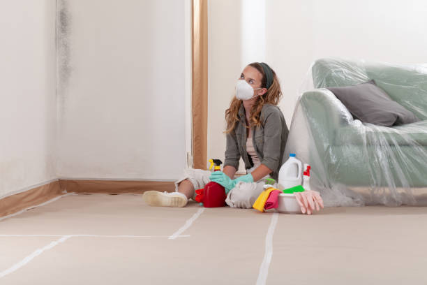 Reliable Mold Cleanup contractor in Brandenburg, KY by WQB Mold Removal